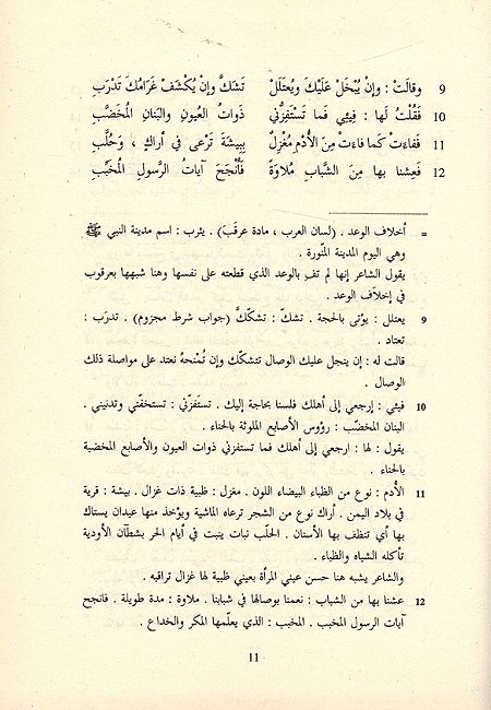 Diwan 'Alqama bin 'Abadah ديوان علقمة بن عبدة (image 2)