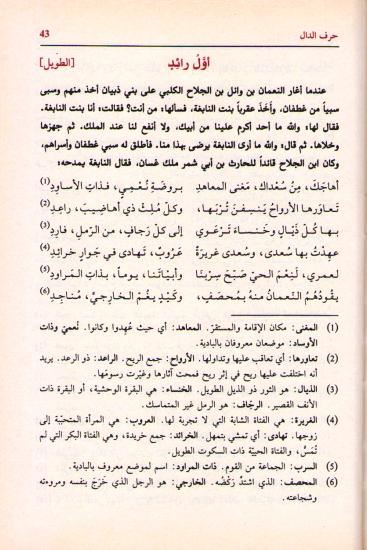 Diwan al-Nabigha al-Dhubiyani ديوان النابغة الذبياني (image 2)