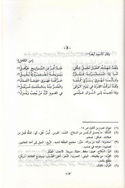 Diwan 'Amru Ibn Kulthum ديوان عمرو بن كلثوم (image 2)