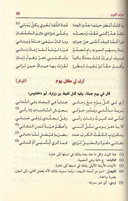 Diwan Antarah ibn Shaddah ديوان عنترة بن شداد (image 2)