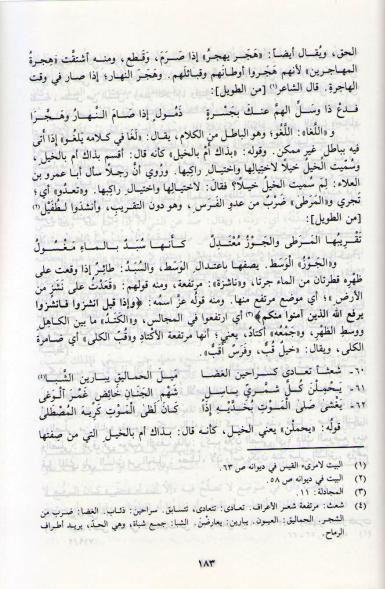 Diwan ibn Durayd ديوان ابن دريد (image 2)
