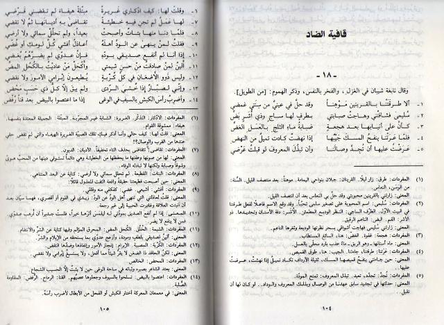Diwan Nabighat Bani Shayban (dakaa) ديوان نابغة بني شيبان (image 3)