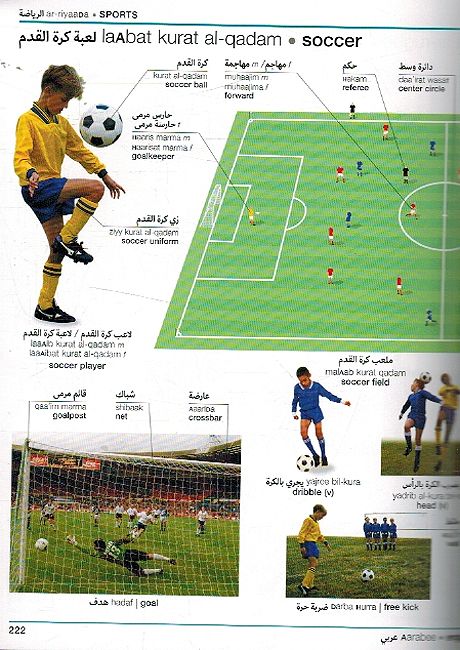 DK Series: Arabic - English Bilingual Visual Dictionary (image 3)