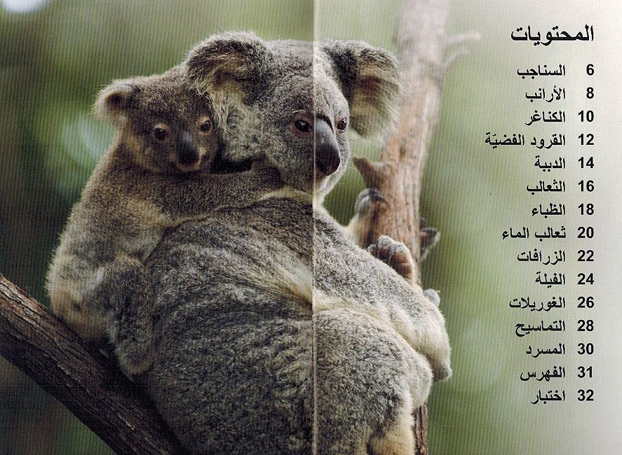 Dk Super Readers (Level 2): Wild Baby Animals صغار الحيوانات البرية (image 3)