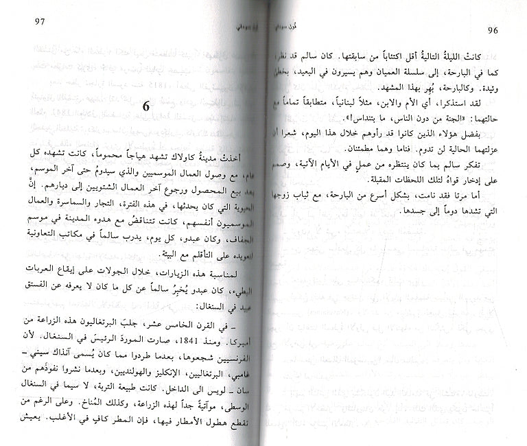 Fawl Sawdaniun فول سوداني (image 3)