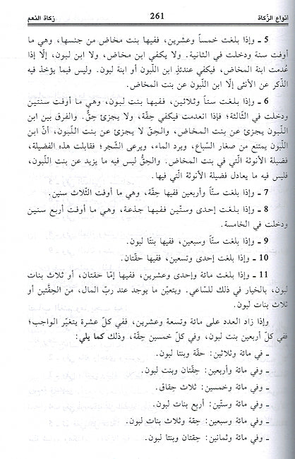 Fiqh al-Ibadat Ala Madhab al-Maliki فقه العبادات على المذهب المالكي (image 3)