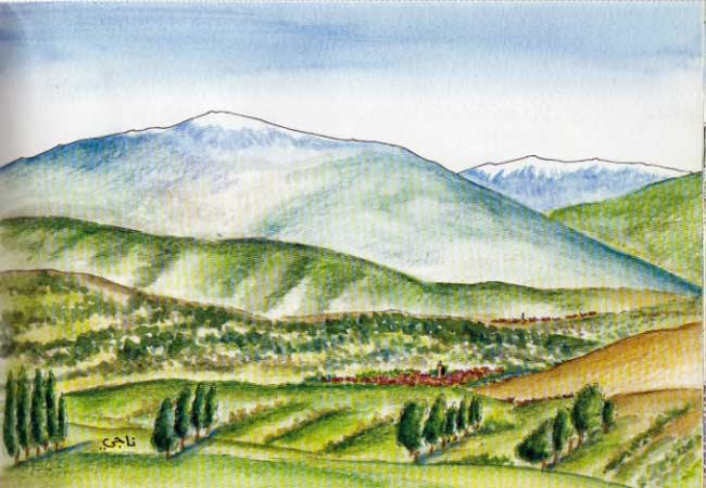 Furqan Visits Fez: A Berber boy Discovers His Destiny (image 4)