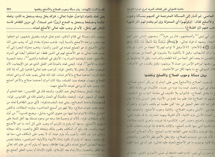 Hashiyat al-Shanawani ala 'Ithaf al-Murid Sharh Jawahir al-Tawhid حاشية الشنواني على إتحاف المريد شرح جوهرة التوحيد (image 3)