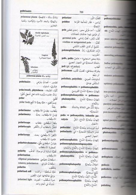 Hitti's New Medical Dictionary En-Ar قاموس حتي الطبي الجديد : إنجليزي عربي (image 3)