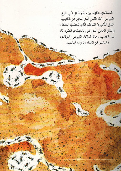 Iktashifi: Alam al-Hasharat اكتشف عالم الحشرات - اكثر من 50 طية (image 3)