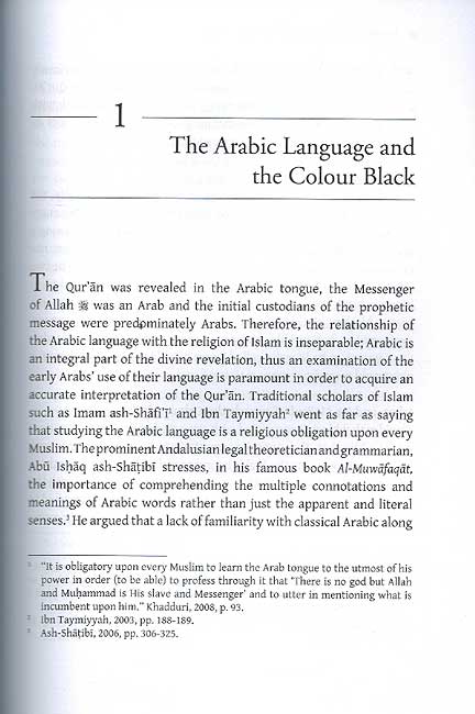Illuminating the Darkness: Blacks and North Africans in Islam (image 3)