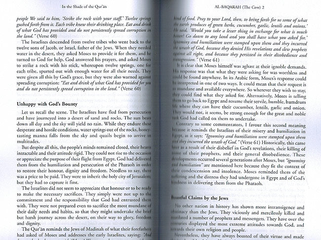 In The Shade of The Quran (Set of 18) (image 3)