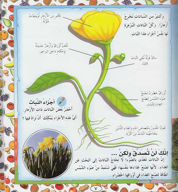 Inak Lan Tasadaq .. al-Nabatat (Plants) إنك لن تصدق ولكن…النباتات (image 4)