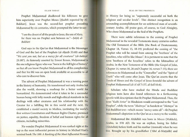 Islam Today - Ideals and Realities (image 3)