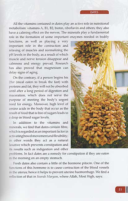 Islamic Medicine: The Key to a Better Life (image 3)