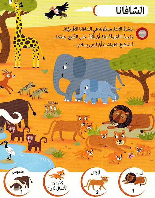 Ismaa wa Bahath al-Hayawanat اسمع وابحث الحيوانات (image 3)