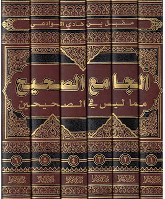 Jami' al-Sahih Mimma Laysa fi al-Sahihayn (6 vol) الجامع الصحيح مماّ ليس في الصحيحين
