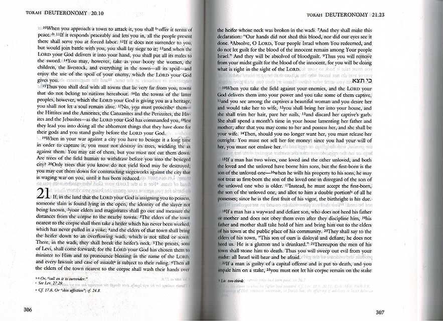 JPS TANAKH: The Holy Scriptures (image 2)