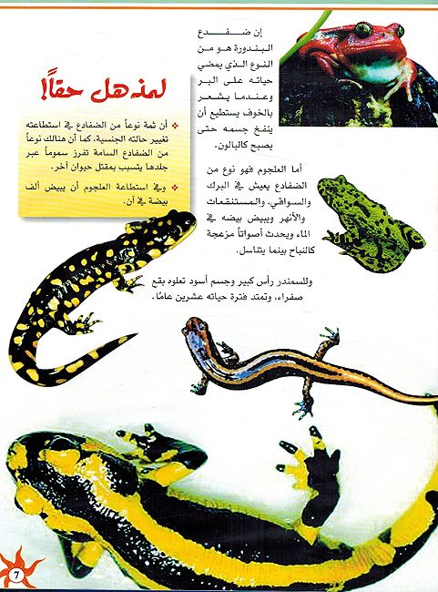 Kainat al-Haya انسايكلوبيديا العلم والمعرفة ; الكائنات الحية (image 3)