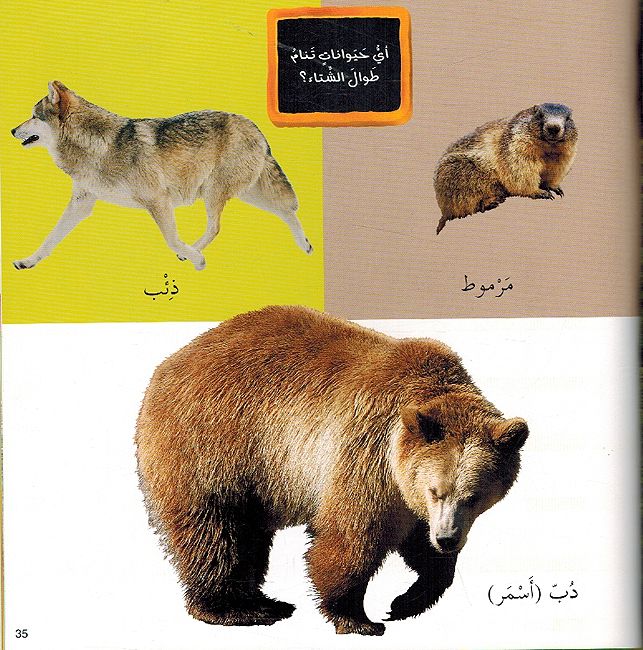 Kalimati al-Musawrah: al-Tabiah كلماتي المصورة: الطبيعة (image 3)