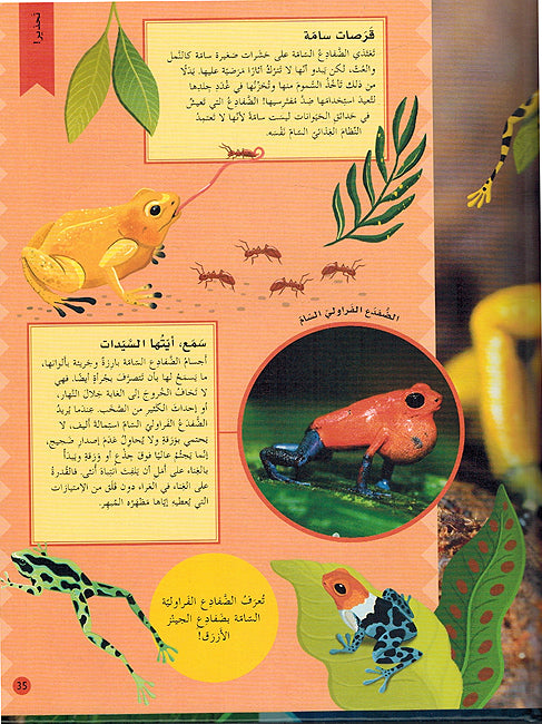 Khafaya al-Alam al-Tabii: Kayinat fi Khatar خفايا العالم الطبيعي كائنات في خطر (image 3)