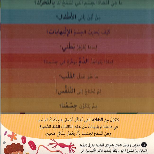 Khutwah Khutwah: Jism al-Insan خطوة خطوة : جسم الإنسان (image 3)