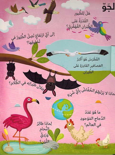 Kitabi al-Kabir Yujayb: al-Hayawanat كتابي الكبير يجيب: الحيوانات (image 3)