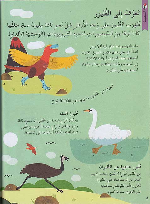 Kunuz 'Ealamina: al-Tayur كنوز عالمنا : الطيور (image 5)