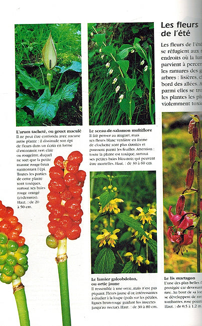 Fleurus, la grande encyclopédie: Nature (French) (image 3)