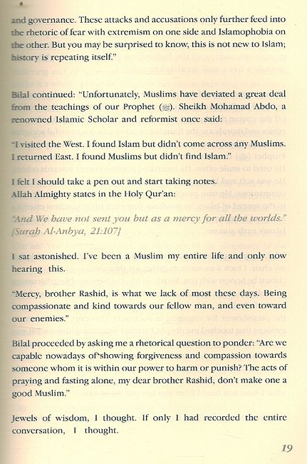 Ladder To Happiness (image 4)