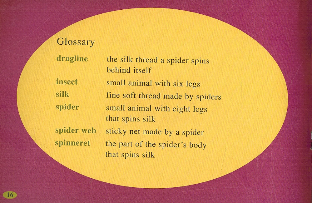Level 16 - Spiders Spin Silk (image 3)