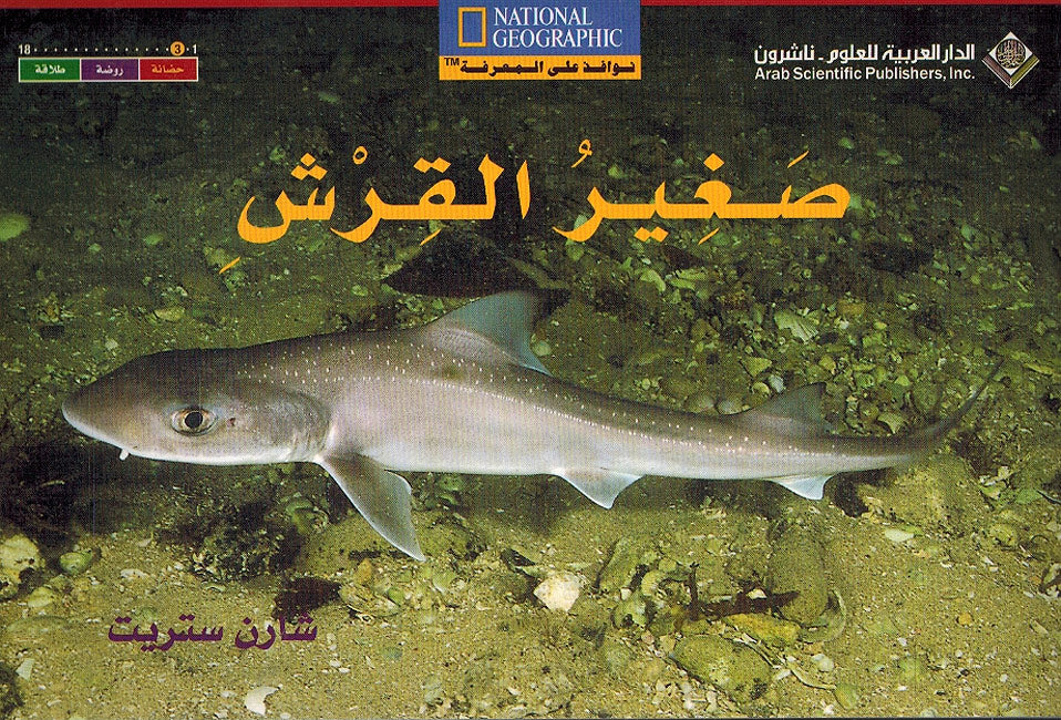 Level 3 - The Baby Shark