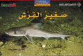 Level 3 - The Baby Shark
