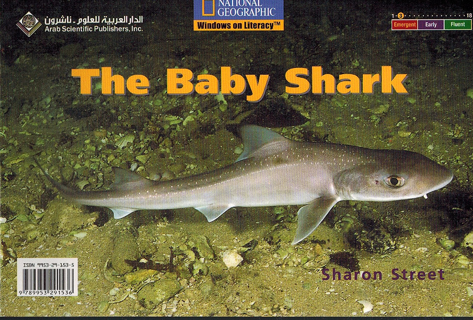 Level 3 - The Baby Shark (image 2)