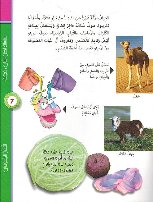Li-Kul Shayin Qisatin: al-Qufazu al-Sufi لكل شيء قصة: القفاز الصوفي (image 3)