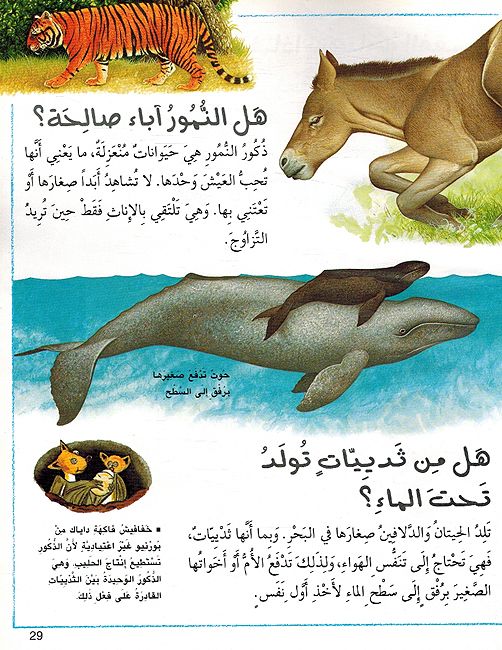 I Wonder Why? Caterpillars Eat A Lot لمازا؟ تاكل الير قانات كثيرا (image 3)