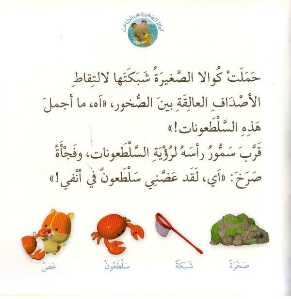 Little Koala: On the Shore w/cd كوالا الصغيرة على الشاطئ (image 3)