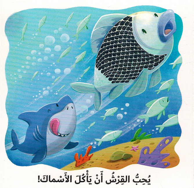 Ma Aladhi Yuhibuh: al-Qirsh? ما الذي يحبه القرش؟ (image 3)