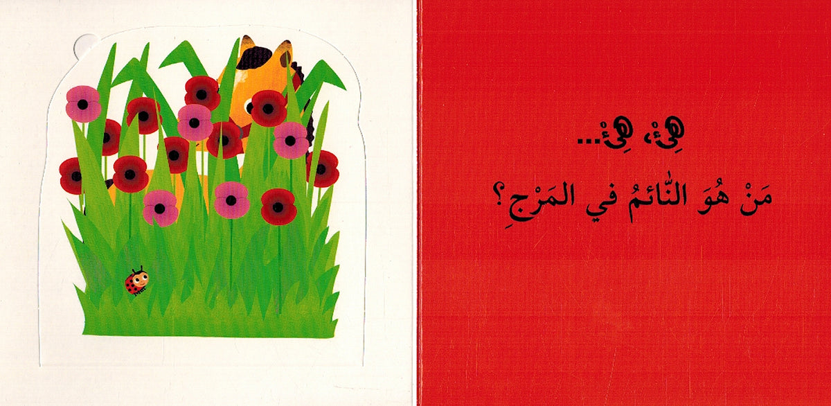 Man Aladhi Yakhtabi'? Sighar al-Haywanat من الذي يختبئ؟ صغار الحيوانات (image 3)
