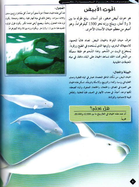 Mawsu'at al-Hayawan: al-Hitan wa al-Dolfin الحيتان والدلافين (image 3)