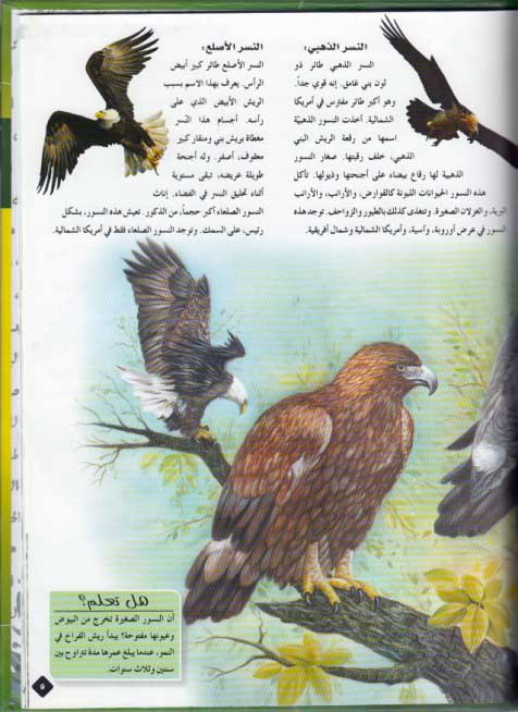 Mawsu'at al-Hayawan: الطيور al-Tuyur (image 3)