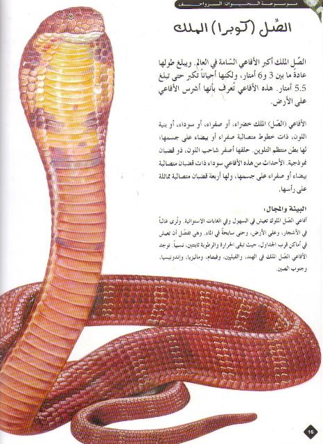 Mawsu'at al-Hayawan: al-Zawahif الزواحف (image 3)