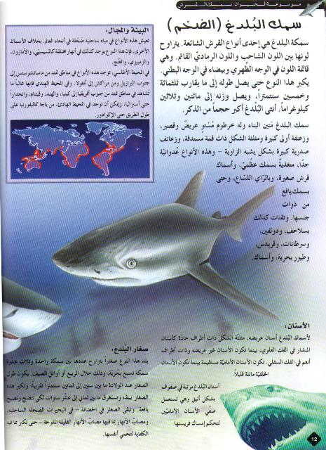 Mawsu'at al-Hayawan: Asmak al-Qirsh اسماك القرش (image 3)