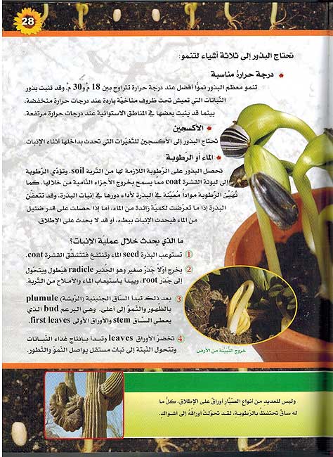 Mawsu'at al-'Ilmiyah lil-Tullab :Alam al-Nabatat الموسوعة العلمية للطلاب : عالم النباتات (image 3)