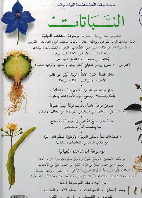 Mawsu'at al-Mushahadat al-'eiania: al-Nabatat موسوعة المشاهدة العيانية: النباتات (image 2)