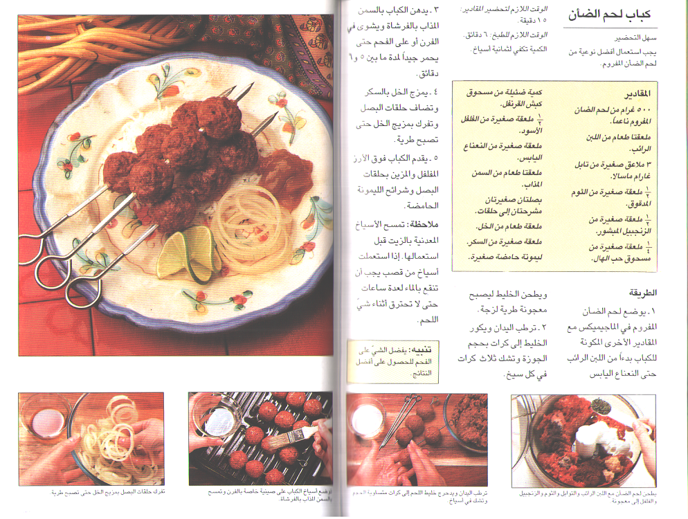 Mini Cookbook: Tabkh al-Hindi الطبخ الهندي (image 3)