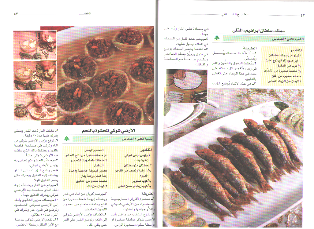 Mini Cookbook: Tabkh al-Lubnani الطبخ اللبناني (image 3)