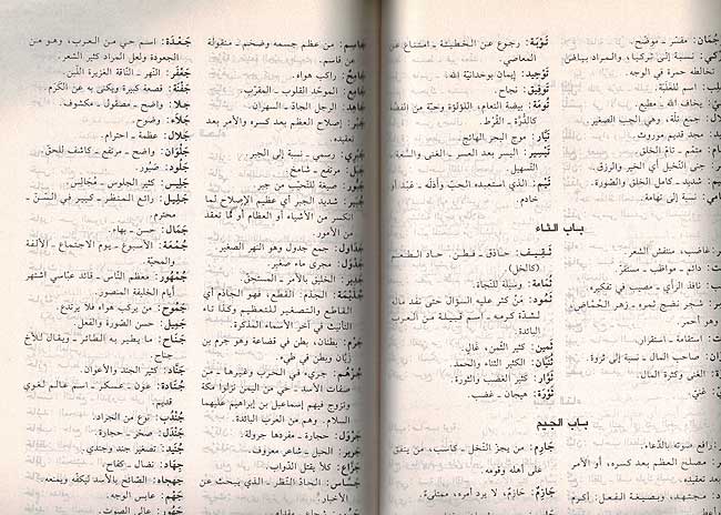 Mu'jam al-Asma' al-Arabiyah معجم الأسماء العربية (image 2)