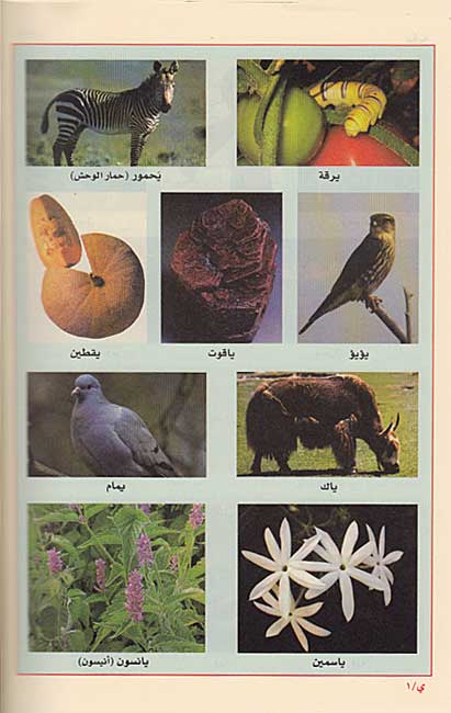 Mu'jam al-Nafaes al-Wasit (Arabic) معجم النفائس الوسيط (image 5)