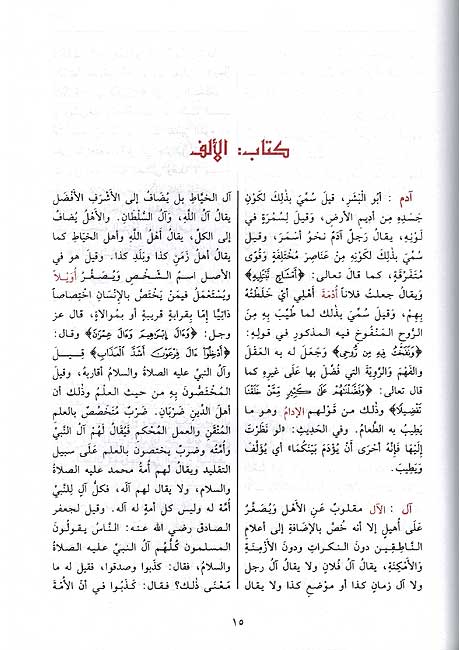 Mufradat fi Gharib al-Qur'an المفردات في غريب القران (image 2)